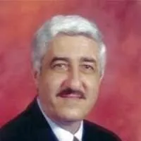 حسان شمسي باشا