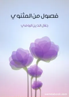 فصول من المثنوي