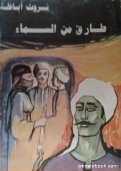 طارق من السماء