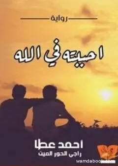 أحببته فى الله