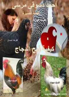 نقد لقصة ذبح الدجاج للقاص أحمد دسوقي - السيد حسن